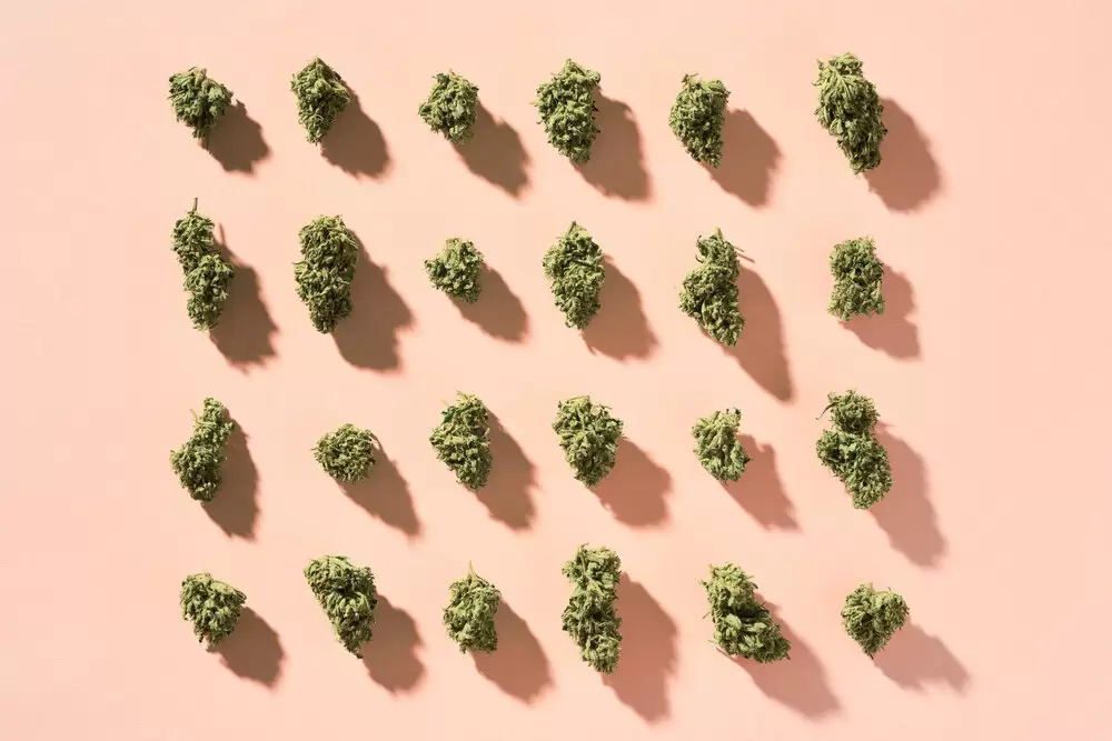 A group of dried cannabis bud on a pink/peach surface
