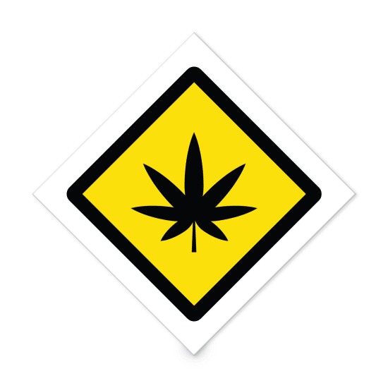 1 x 1 Cannabis Template