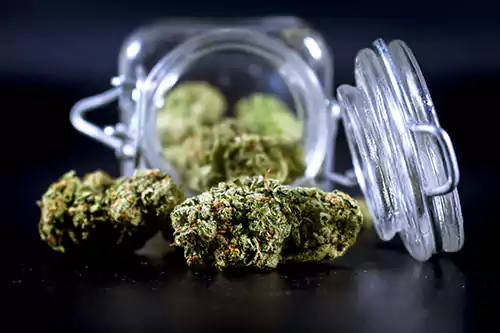 Cannabis Storage 101: The Ultimate Guide to Keeping Your Weed Safe and Fresh