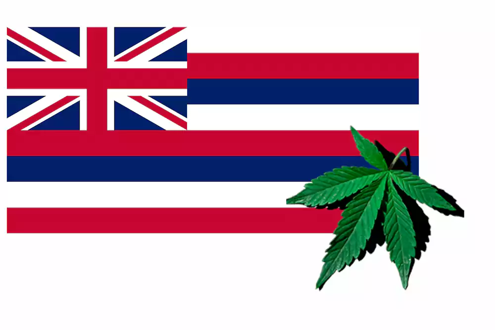 Is Marijuana Legal in Hawaii 2022?