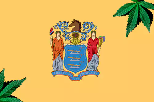 How to Find the Right Weed Dispensary for You in NJ?