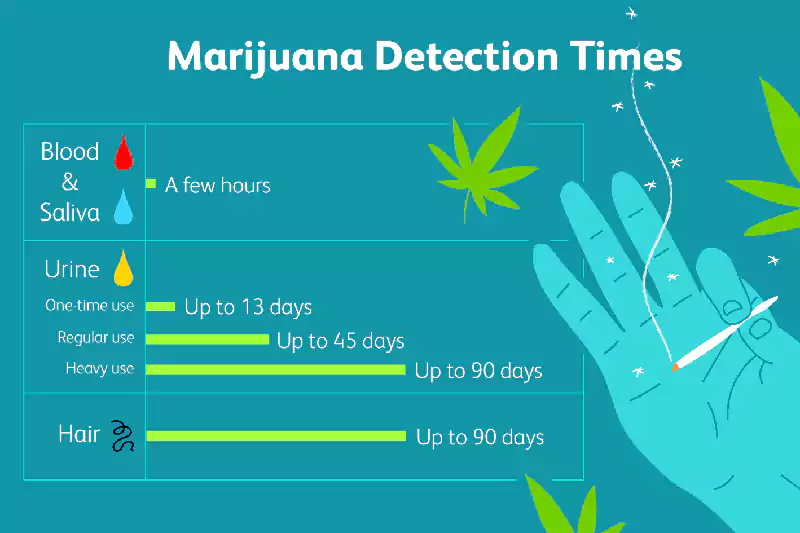 Chart of marijuana detection times