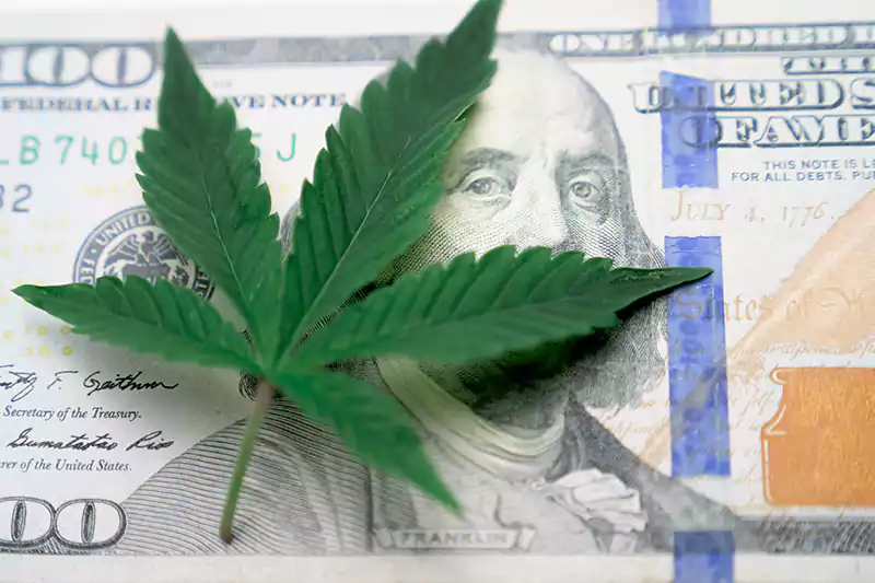 Cannabis and dollar
