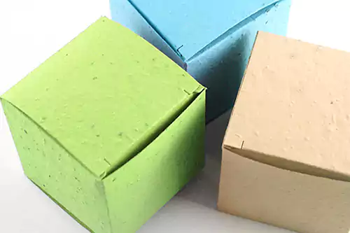Seed Paper Box