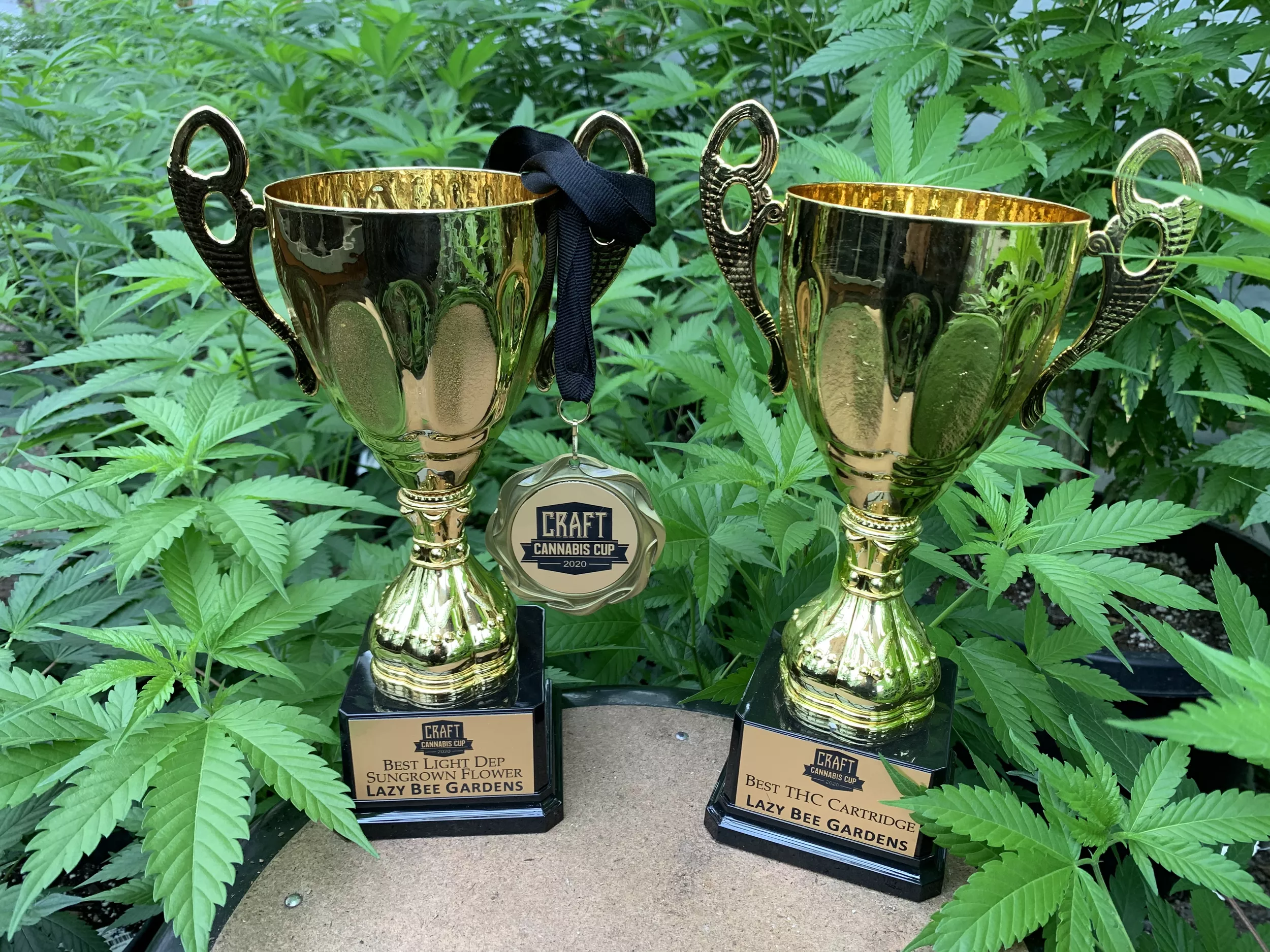 Cannabis Cup