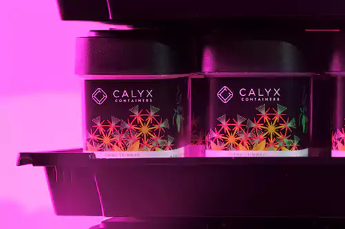 Calyx Containers