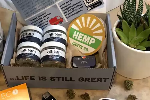 The Best CBD Subscription Boxes According to Reddit Users