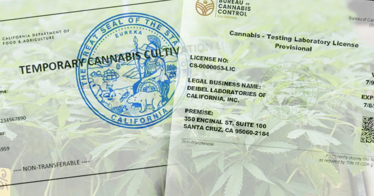 California Cannabis License Search