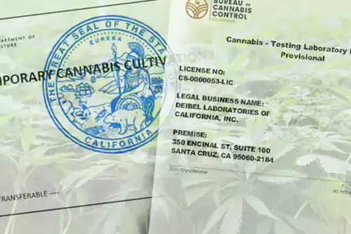 California Cannabis License Search: A Comprehensive Guide