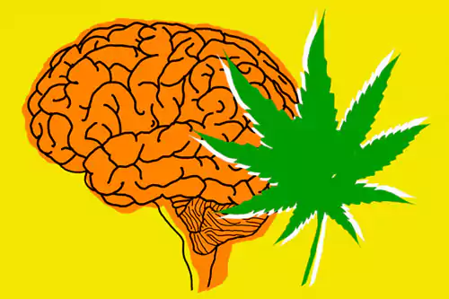 Can Smoking Weed Cause Dementia? An In-depth Analysis