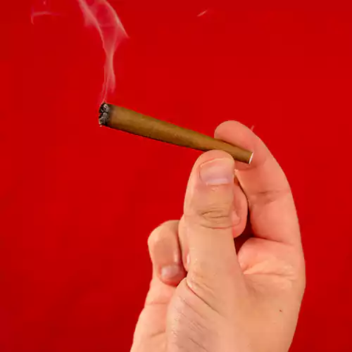Keep the Pre-Roll Blunt Burning