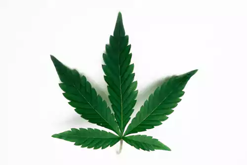 ICD-10 Code for Marijuana Use