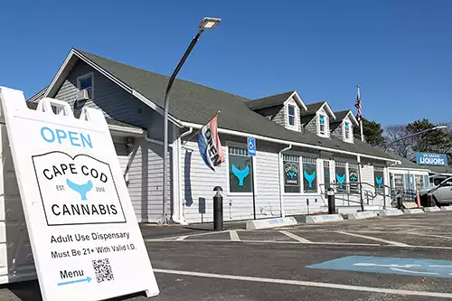 Cape Cod Cannabis Review: Exploring a Local Cannabis Gem