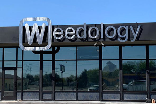 Weedology: Exploring a World of Cannabis Delights
