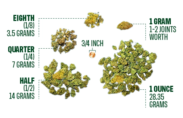 Understanding Cannabis Measurements And Prices Grams Eighths Ounces 