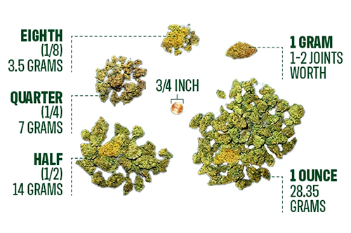 Understanding Cannabis Measurements and Prices: Grams, Eighths, Ounces, and a Pound of Weed