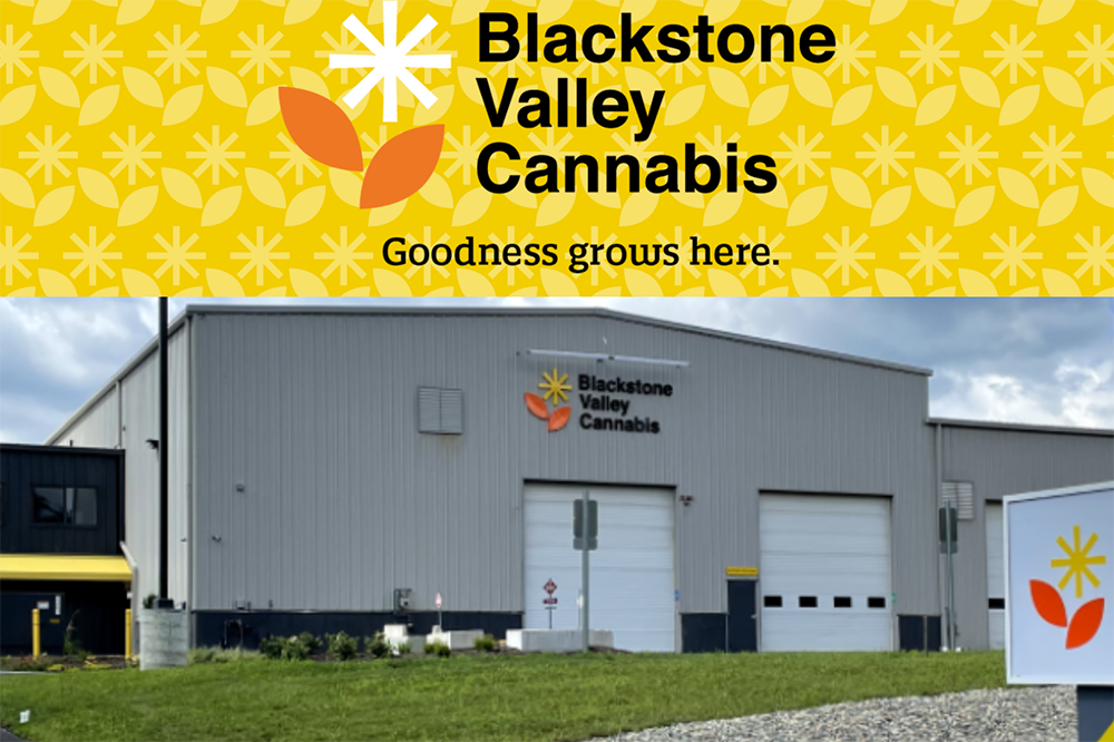 Unveiling the Essence of Cannabis Elevation with Blackstone Valley Cannabis