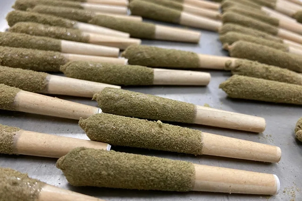 What to Know About Cannabis Pre-Rolls