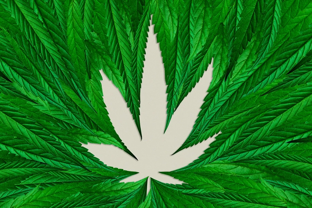 How Much Does a Box of Marijuana Cost in the US