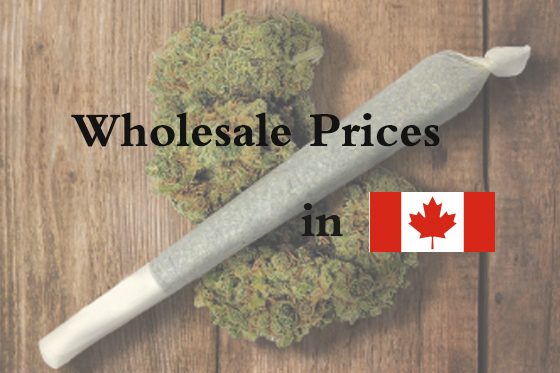 Wholesale Prices for Preroll Packaging in Canada
