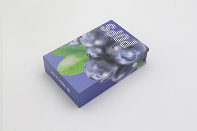 510 Vape Pen Battery Packaging Box Foam Insert