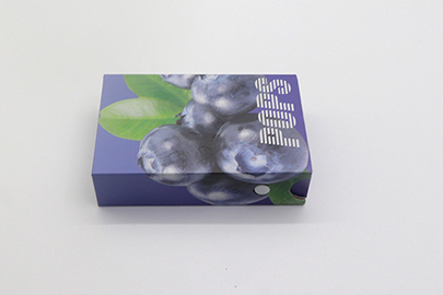 510 Vape Pen Battery Packaging Box Foam Insert