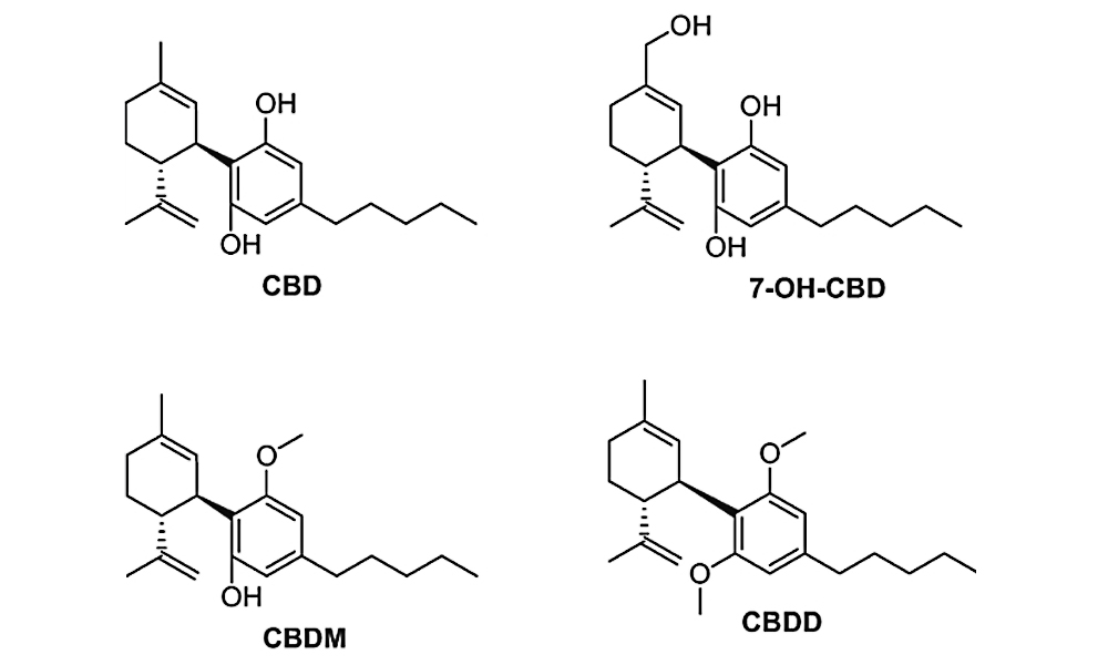 CBD (Cannabidiol).jpg
