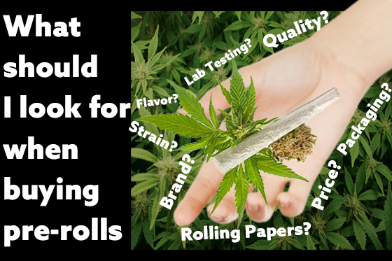 What should I look for when buying pre-rolls?
