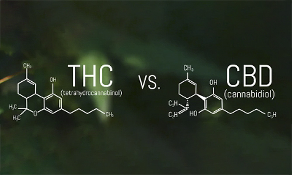 What's the difference between Delta 8 THC and CBD1.jpg