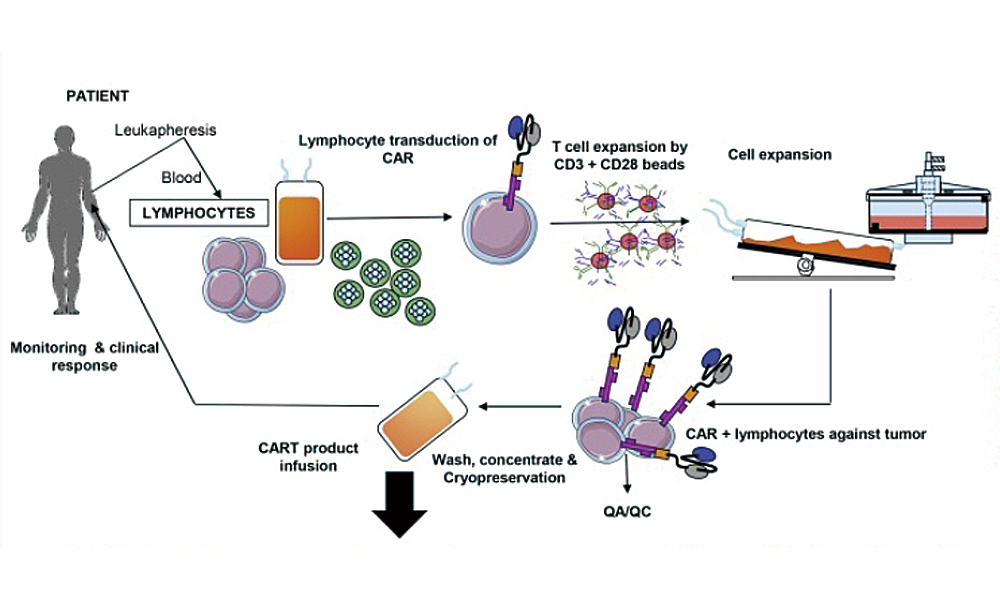 thc cart mechanism explained.jpg